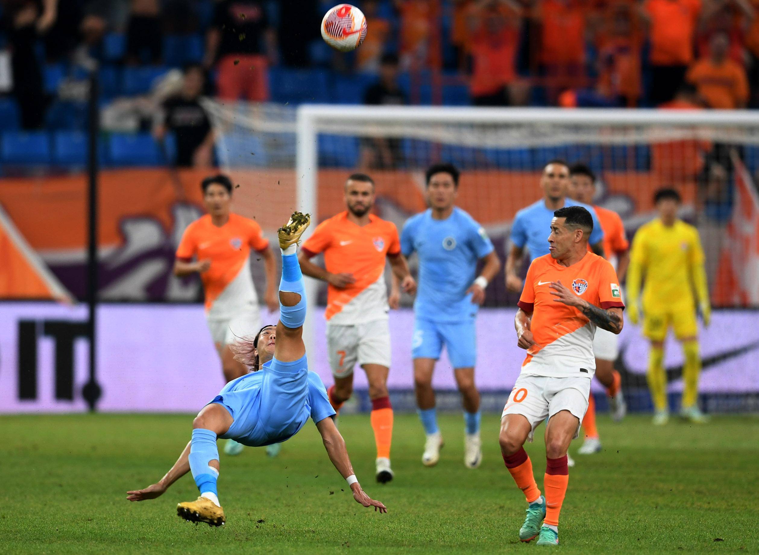 球迷的期待 球迷的期待