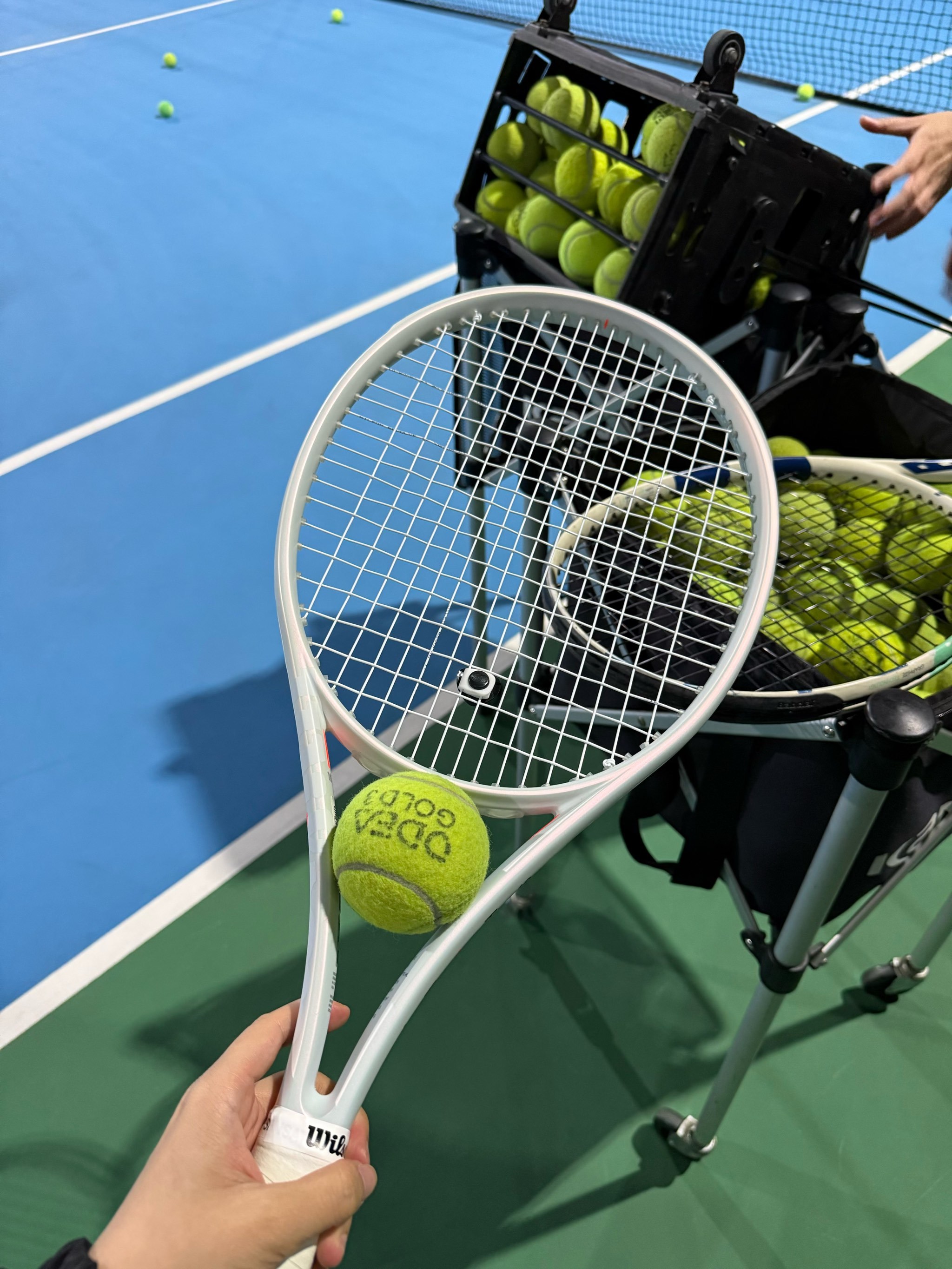 以及自由人 以及自由人