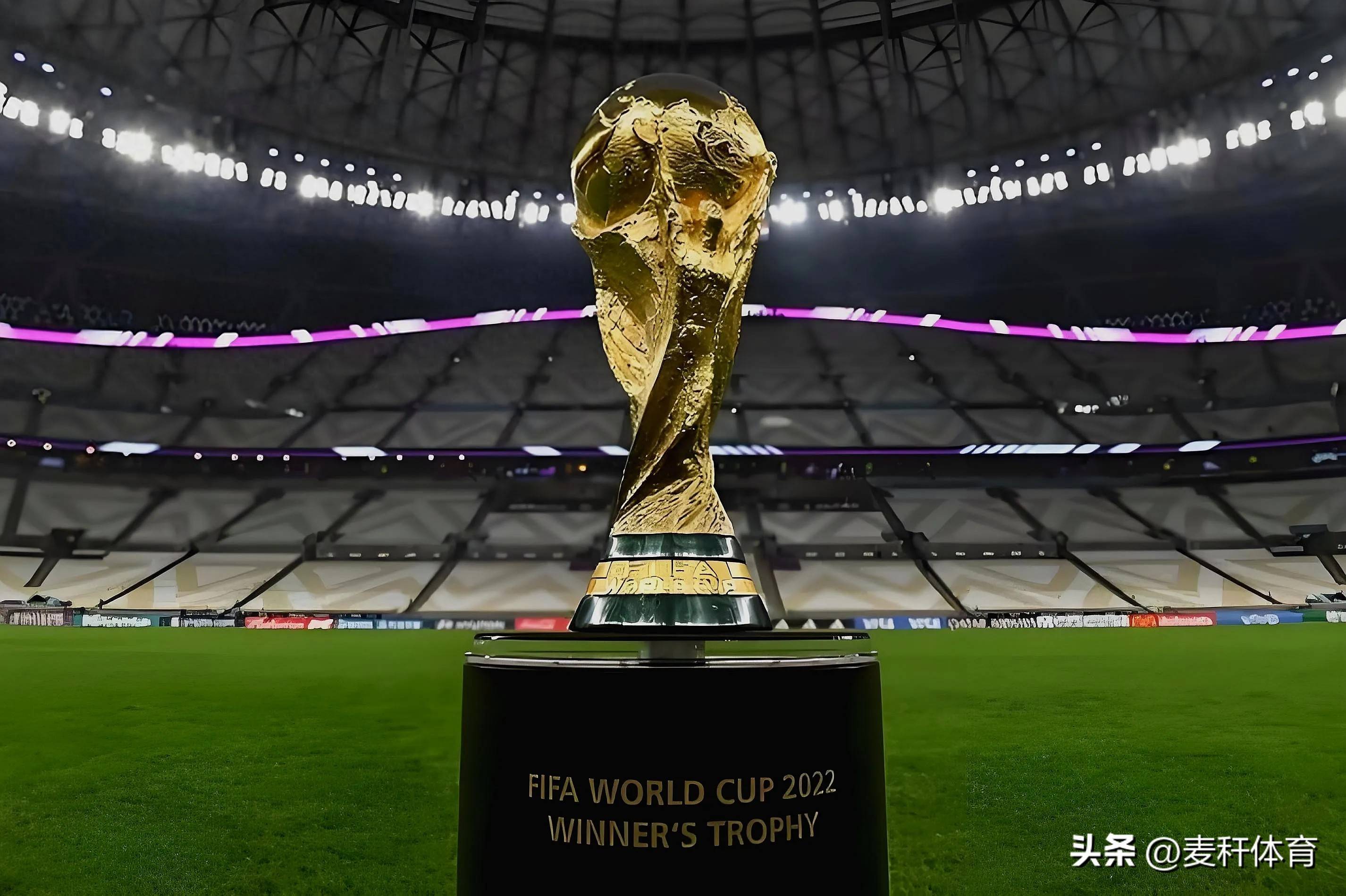 还见证了球 还见证了球